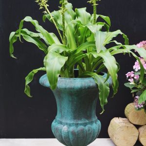 JMM_saltwashurn_new